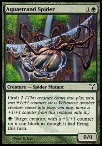 Aquastrand Spider