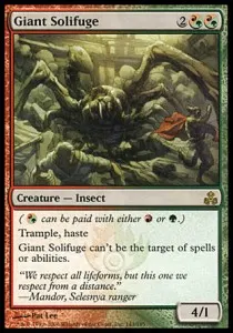 Giant Solifuge