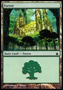 Forest