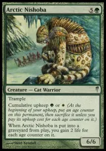 Arctic Nishoba