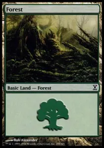 Forest