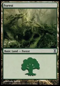 Forest