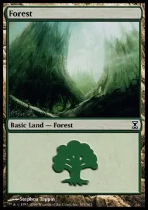 Forest
