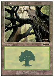 Forest