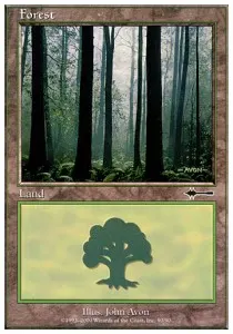 Forest