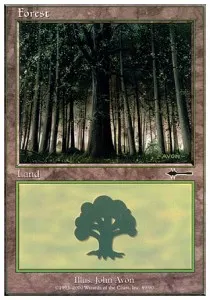 Forest
