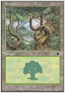 Forest