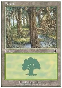 Forest