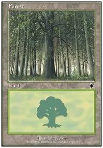 Forest