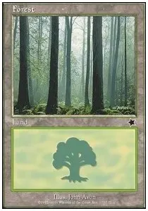 Forest