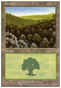 Forest