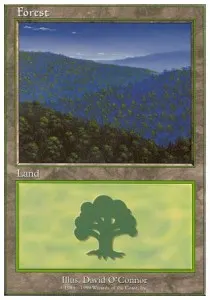 Forest