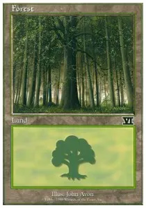 Forest