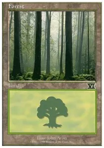 Forest