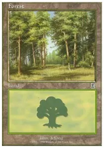 Forest