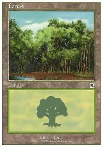 Forest