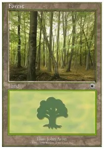 Forest
