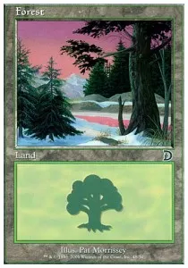 Forest