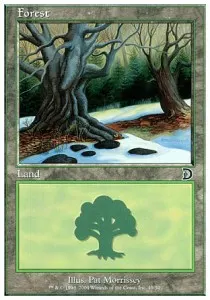 Forest