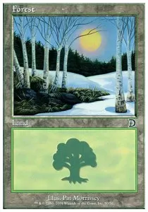 Forest