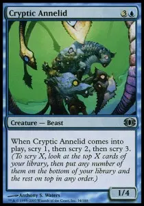Cryptic Annelid