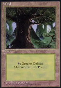 Forest