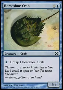 Horseshoe Crab