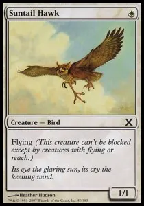 Suntail Hawk