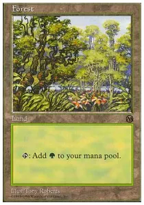 Forest