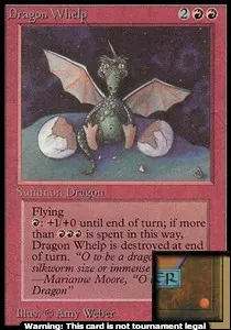 Dragon Whelp