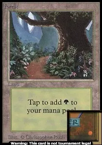 Forest