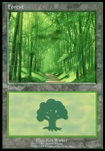 Forest