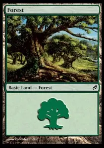 Forest