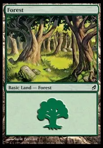 Forest