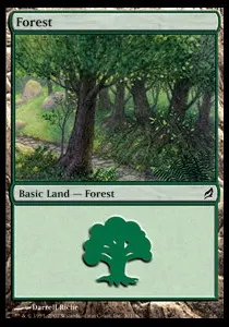 Forest