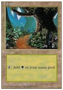 Forest