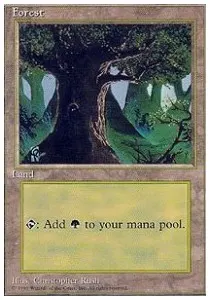 Forest