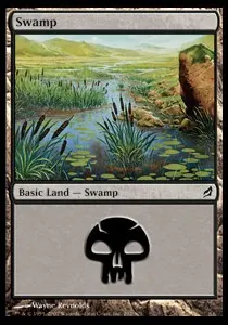 Swamp