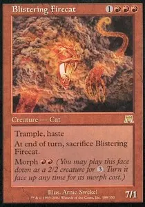 Blistering Firecat