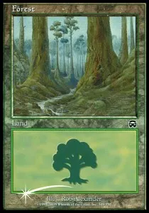 Forest