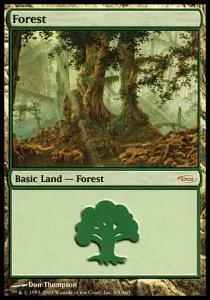 Forest