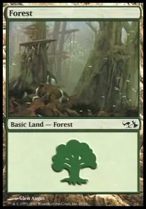 Forest