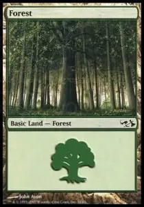 Forest