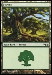 Forest