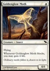 Goldenglow Moth