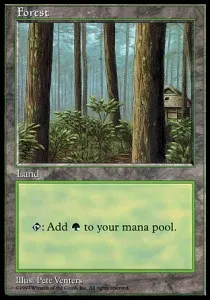 Forest
