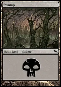 Swamp
