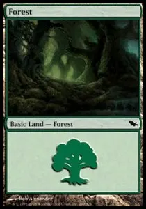 Forest