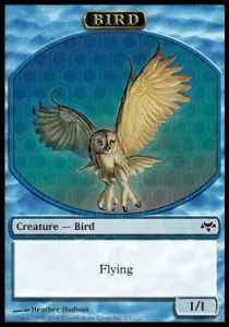 Bird