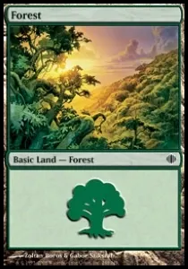 Forest